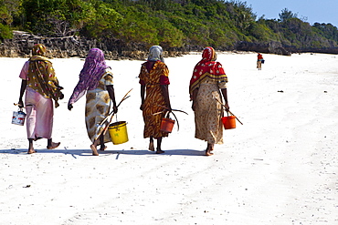 Women carry their caught fish in buckets, Zanzibar, Tanzania, Africa