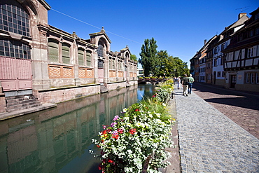 Quai de la Poissonnerie, historic centre, Colmar, Alsace, France, Europe