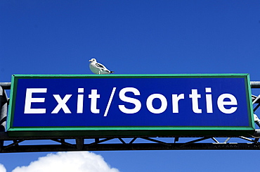 Exit sign with a seagull against a blue sky in the car ferry port of Calais, France, Europe