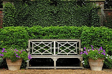 Old garden bench with two flower buckets in the park of Walmer Castle, 1540, in the back ivy (Hedera helix Linnaeus) on a wall, Walmer, Deal, Kent, England, United Kingdom, Europe