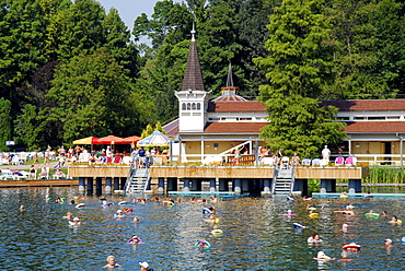 Hot springs, thermal spa in Heviz, Lake Balaton, Balaton, Hungary, Europe