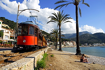 Bay with beach and palm trees, tram in Puerto Soller, Port de Soller, tranvia nach Soller, Mallorca, Majorca, Balearic Islands, Mediterranean Sea, Spain, Europe