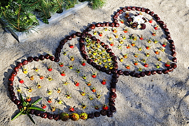 Two hearts from chestnuts and rose hips in the sand on the beach of Ruegen Island, Mecklenburg-Western Pomerania, Germany, Europe