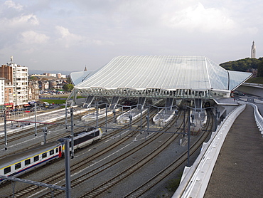 Exterior view, Gare de Liege-Guillemins, architect Santiago Calatrava, Liege, Belgium, Europe