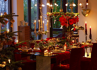 Ready laid coffee table with Christmas cookies and part of a Christmas tree