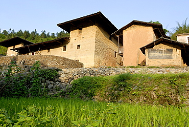 Adobe houses, earth houses, Chinese: Tulou, of the Hakka minority as a farm with a rice field terrace at Hukeng, Chinese minority, Fujian, China, Asia