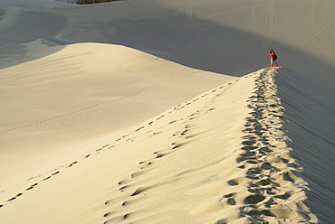 Young Chinese woman taking photographs on the sand dunes of the Gobi Desert, Silk Road, Gansu, China, Asia