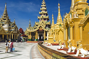 Golden Chedis, Shwedagon Pagoda, Rangoon, Yangon, Burma, Burma, Myanmar, Asia