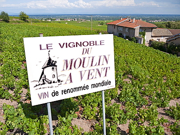 Sign advertising a vineyard for the renowned Beaujolais wine, Moulin a Vent, Romaneche-Thorins, Beaujolais, Rhone departement, France, Europe