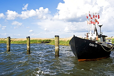 Fishing boat in the harbour, Gager, Mecklenburg-Western Pomerania, Germany, Europe