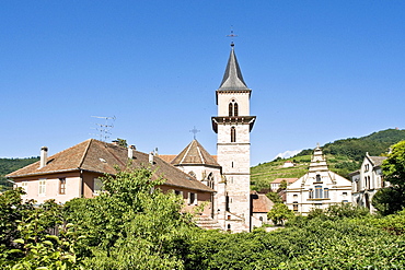 Overlooking the vineyards and the Church of Saint Gregoire in Ribeauville, Alsace, France, Europe