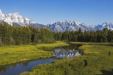 Grand Teton Range and beaver dam, Snake River, Grand Teton National Park, Wyoming, USA