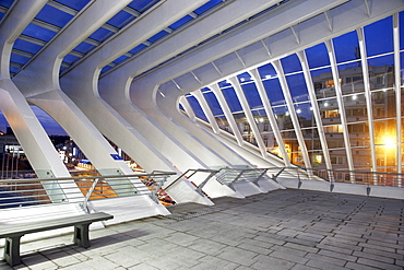 Gare de Liege-Guillemins train station by architect Santiago Calatrava in Liege, Belgium, Europe