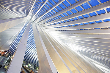 Gare de Liege-Guillemins train station by architect Santiago Calatrava in Liege, Belgium, Europe