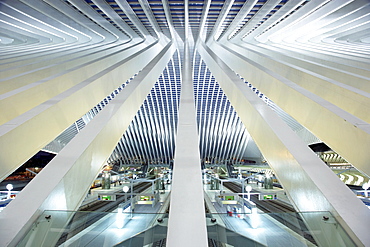 Gare de Liege-Guillemins train station by architect Santiago Calatrava in Liege, Belgium, Europe