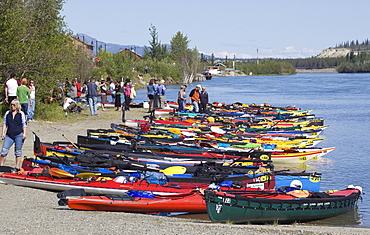 Canoes and kayaks on the shore, start of the 2009 Yukon River Quest, long distance canoe race, Whitehorse, Yukon River, Yukon Territory, Canada