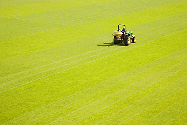 Lawn, tractor, field