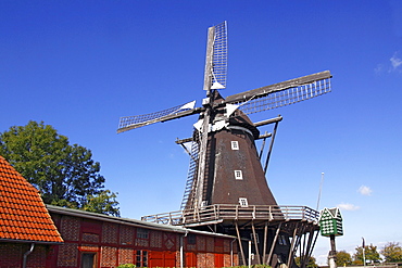 Old windmill, Windmill Museum in Lemkenhafen, Fehmarn Island, Baltic Sea island, Ostholstein district, Schleswig-Holstein, Germany