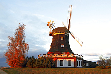 Old windmill and restaurant, Kluetzer Muehle, in the last evening light, smock mill with fantail, Kluetz, Kluetzer Winkel, Northwest Mecklenburg district, Mecklenburg-Western Pomerania, Germany, Europe