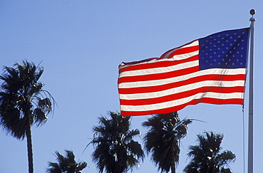 Flag of the United States in Santa Barbara, palms, California, America, USA