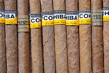 Cohiba cigars, rolled tobacco from Cuba