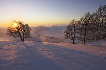 Foggy atmosphere on Mt Schauinsland, Freiburg, Baden-Wuerttemberg, Germany, Europe