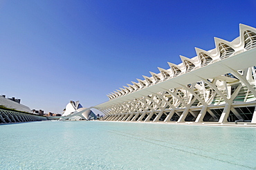 Museo de las Ciencias, Principe Felipe Museum, L'Hemisferic, Imax cinema, planetarium, museum, Ciudad de las Artes y de las Ciencias, City of Arts and Sciences, architect Santiago Calatrava, Valencia, Spain, Europe