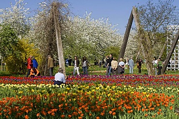 Tulip show TULIPAN in the Britzer Garden park, Berlin, Germany, Europe