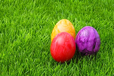 Colourful Easter eggs on grass