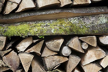 Split wood in a wood stack