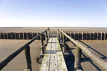 Boardwalk over the muddy Wadden sea in the Nationalpark Schleswig Holsteinisches Wattenmeer, Schleswig Holstein Wadden Sea National Park, Unesco World Heritage, Schleswig-Holstein, Northern Friesland, Northern Germany, Germany, Europe