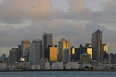 The skyline of Auckland illuminated by soft evening light seen from Northcote, New Zealand