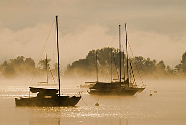 Sailing boats and fog at the southern end of Ammersee lake in Diessen, Bavaria, Germany, Europe