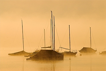 Morning fog above Lake Starnberg and silhouettes of boats at Seeshaupt, Bavaria, Germany, Europe