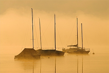 Morning fog above Lake Starnberg and silhouettes of boats at Seeshaupt, Bavaria, Germany, Europe