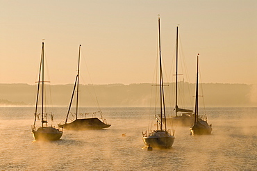 Sailing boats and low morning fog over Ammersee lake at Utting, Bavaria, Germany, Europe