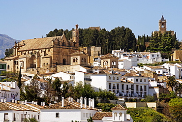 Castle and castle church Santa Maria, Antequera, Andalusia, Spain, Europe