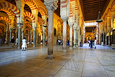 Interior, "forest of columns", Mezquita, former mosque, now cathedral, Cordoba, Andalusia, Spain, Europe