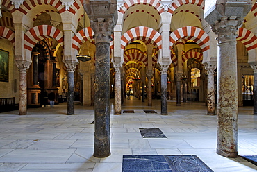 Interior, "forest of columns", Mezquita, former mosque, now cathedral, Cordoba, Andalusia, Spain, Europe