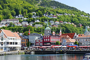 Fish market in front of the Domkirken, Bergen, Norway, Europe