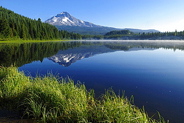 Trillium Lake with Mount Hood volcano, Cascade Range, Oregon, USA