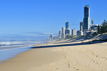 Skyscrapers towering over the beach of Surfers Paradise, Gold Coast, Queensland, Australia