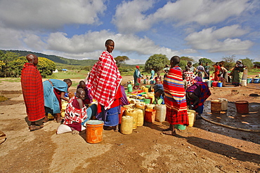 Masai at artificial waterplace, well, Masai steppe, North Tanzania, East Africa