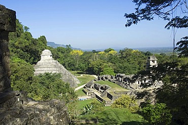 Palenque, UNESCO World Heritage Site, Templo del Conde, Temple of the Count, Yucatan, Mexico