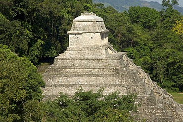 Palenque, UNESCO World Heritage Site, Templo del Conde, Temple of the Count, Yucatan, Mexico