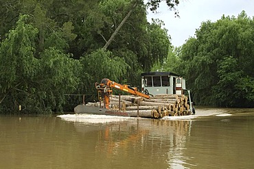 Delta of the Parana River, Wood transport on the Rio las Canas, UNESCO Biosphere Reserve, San Fernando, Buenos Aires Province, Argentina