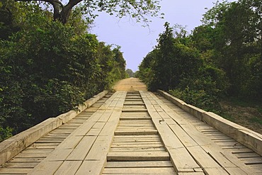 Transpantaneira, Wooden Bridge, Pantanal, UNESCO World Heritage Site and Biosphere reserve, Mato Grosso, Brazil