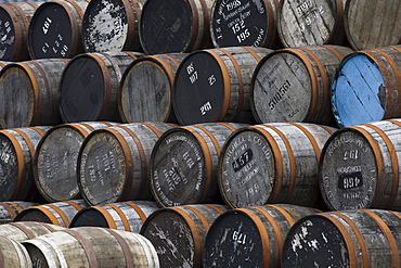 Whisky barrels, Springbank Whisky Distillery, Campbeltown, Scotland, United Kingdom, Europe