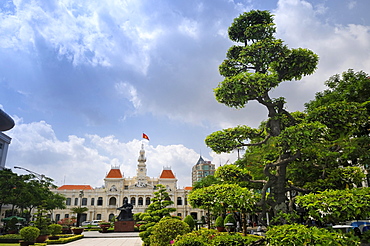 Historic town hall and bonsai tree, Saigon, Ho Chi Minh City, Vietnam, Southeast Asia