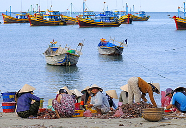 Women in the fish market, in the back colorful wooden fishing boats, beach of Mui Ne, Vietnam, Asia